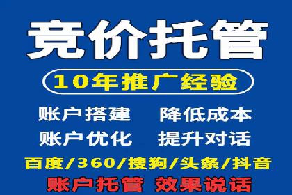 实战案例：SEM广告投放的优化策略